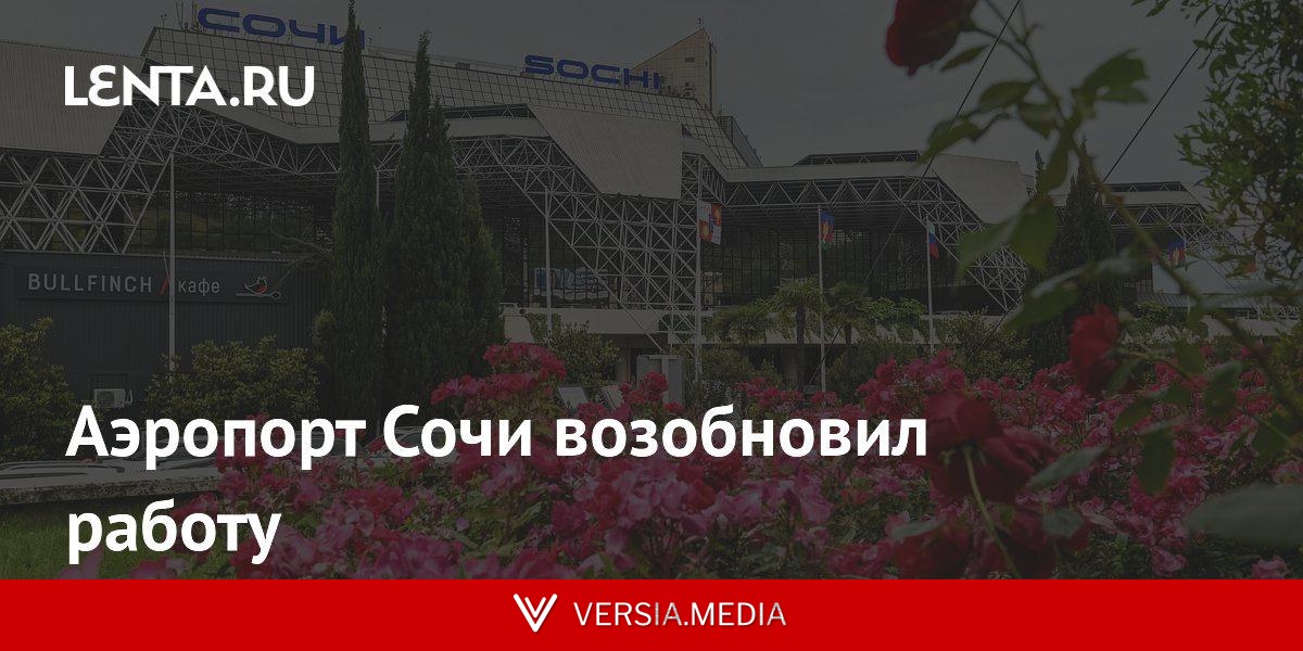 Аэропорт Сочи возобновил работу