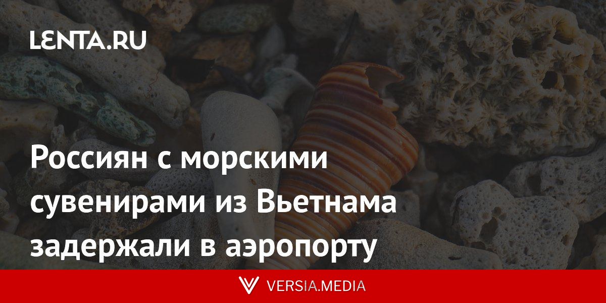 Россиян с морскими сувенирами из Вьетнама задержали в аэропорту