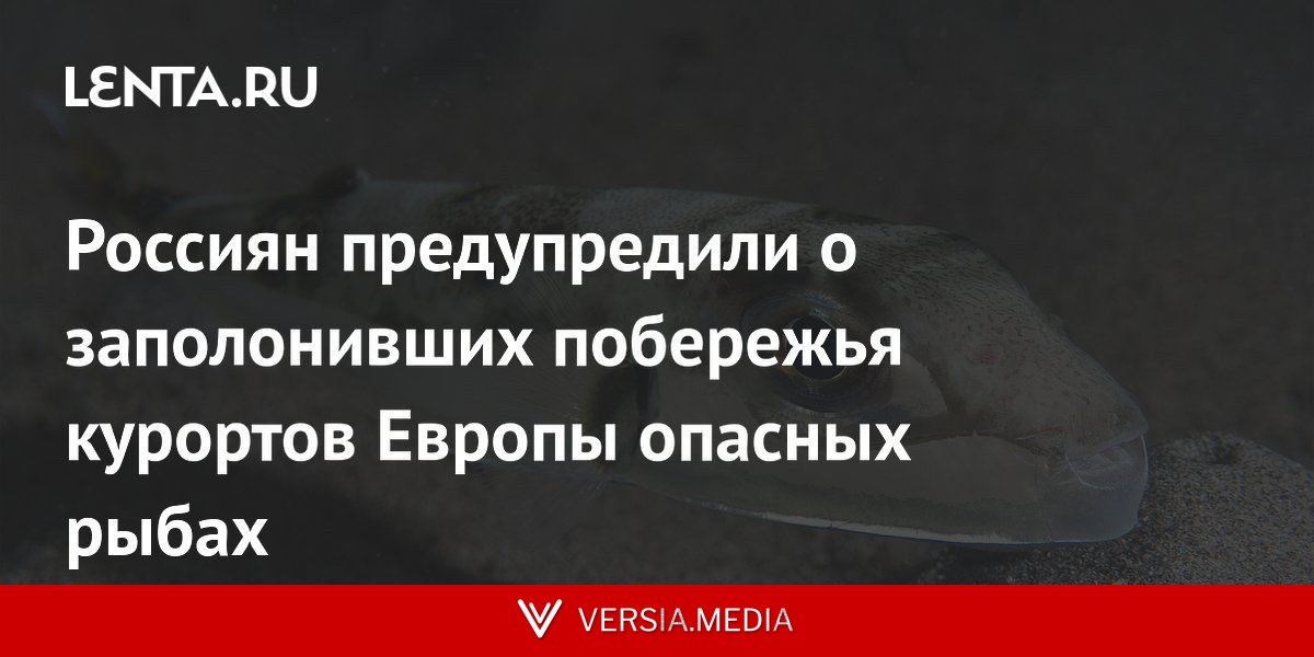 Россиян предупредили о заполонивших побережья курортов Европы опасных рыбах
