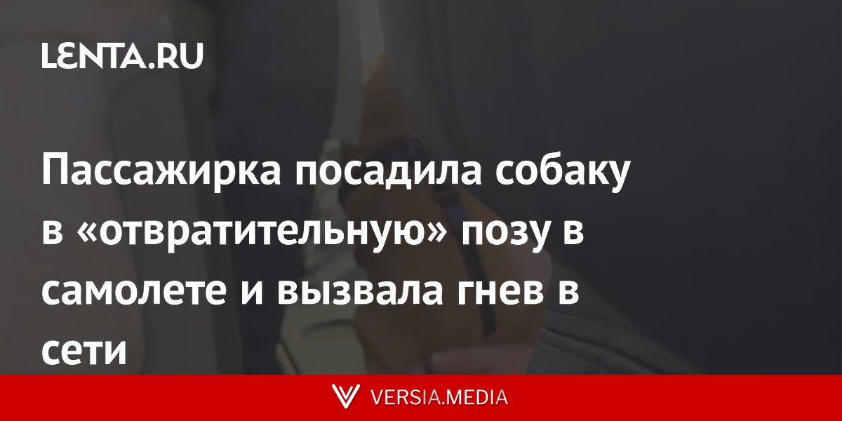 Пассажирка посадила собаку в «отвратительную» позу в самолете и вызвала гнев в сети