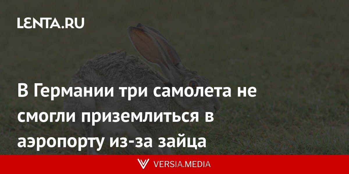 В Германии три самолета не смогли приземлиться в аэропорту из-за зайца