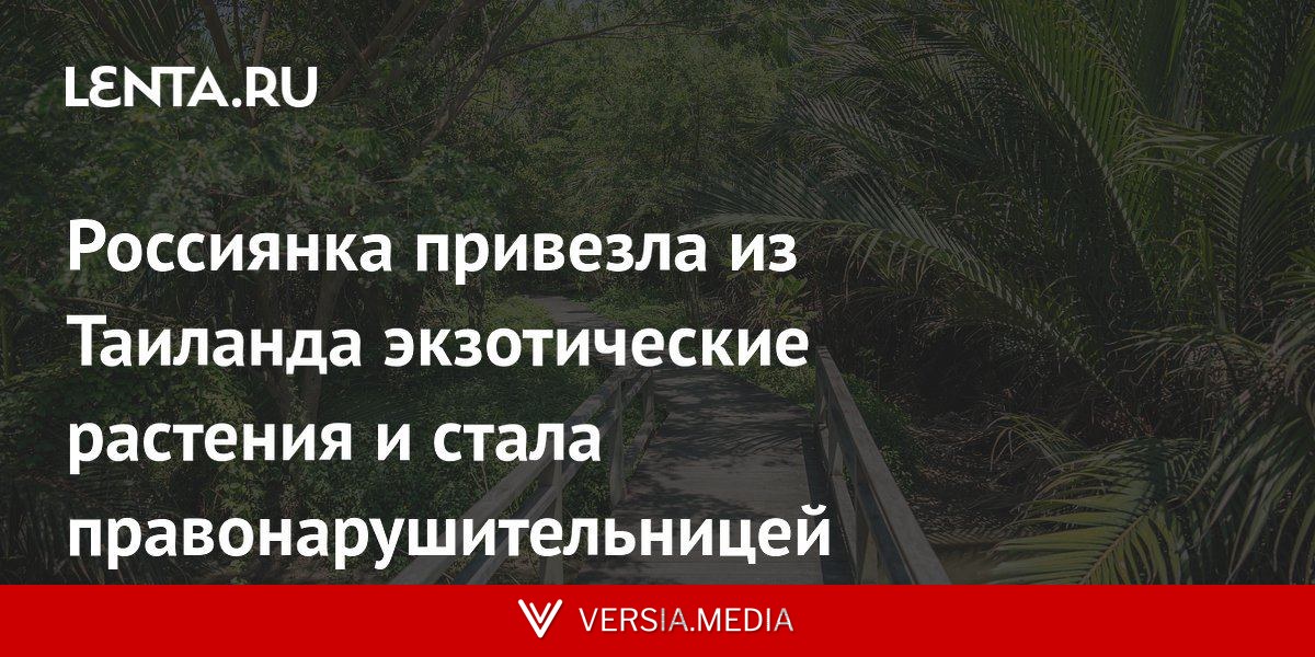 Россиянка привезла из Таиланда экзотические растения и стала правонарушительницей