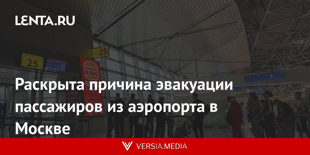 Раскрыта причина эвакуации пассажиров из аэропорта в Москве