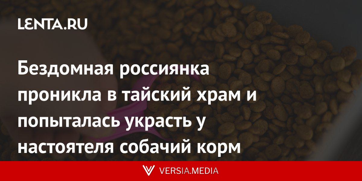 Бездомная россиянка проникла в тайский храм и попыталась украсть у настоятеля собачий корм