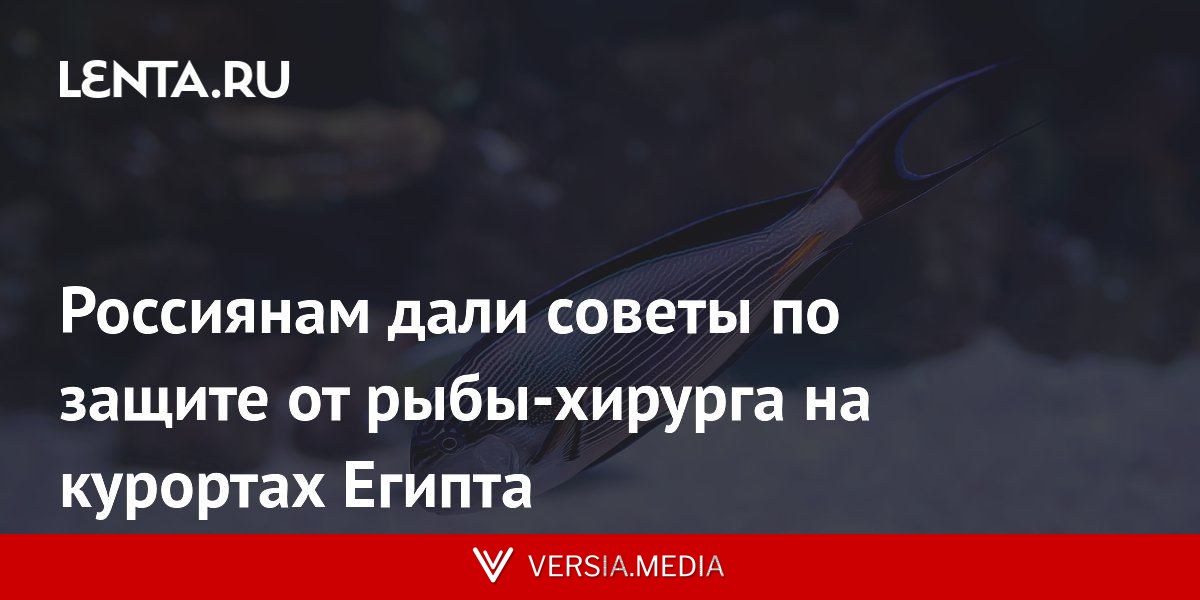 Россиянам дали советы по защите от рыбы-хирурга на курортах Египта
