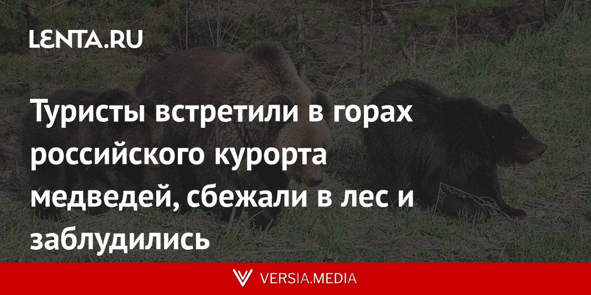 Туристы встретили в горах российского курорта медведей, сбежали в лес и заблудились