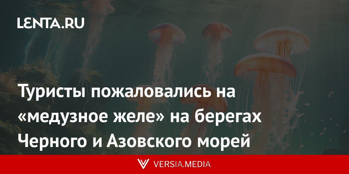 Туристы пожаловались на «медузное желе» на берегах Черного и Азовского морей