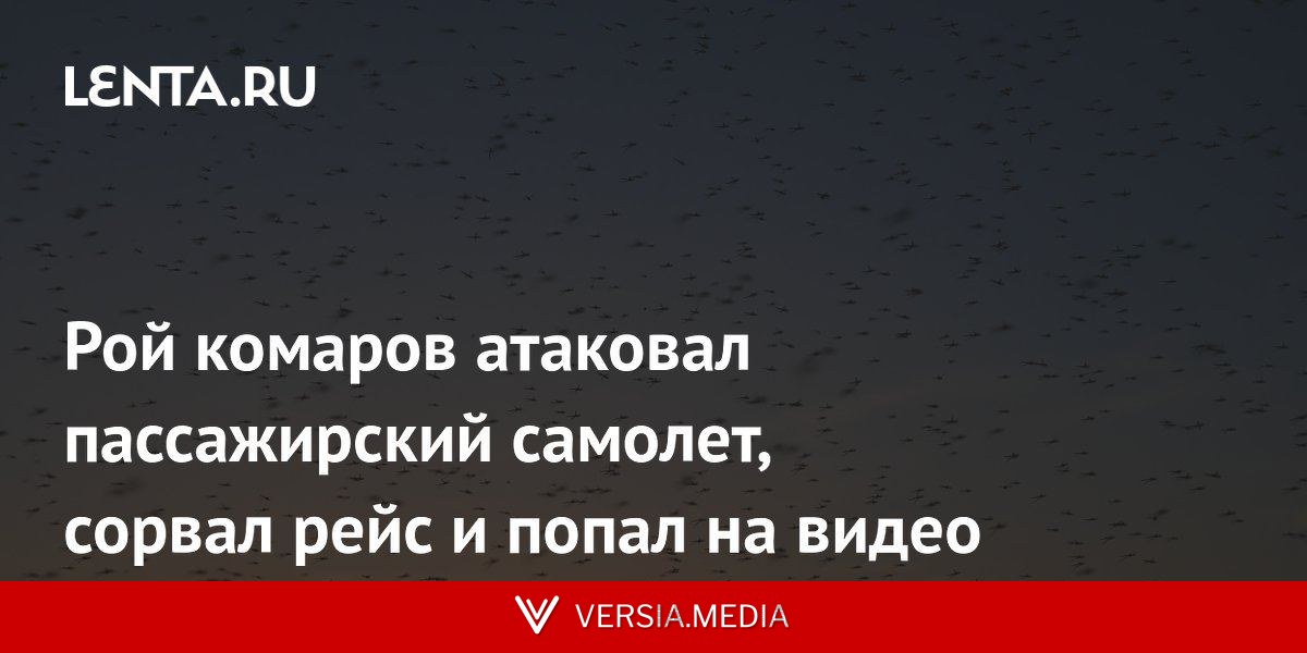 Рой комаров атаковал пассажирский самолет, сорвал рейс и попал на видео