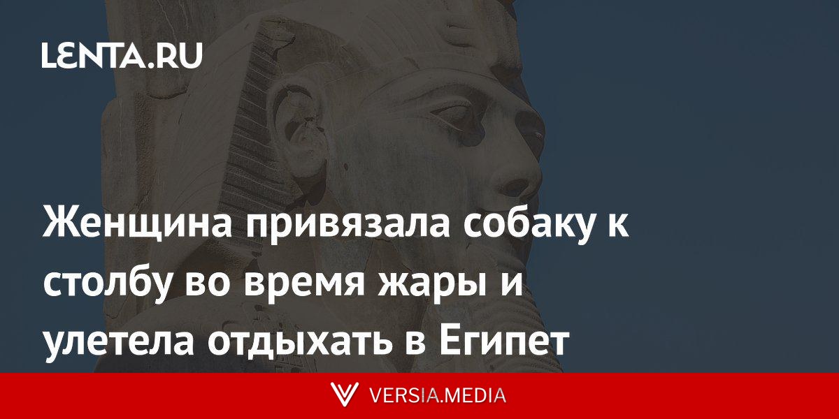 Женщина привязала собаку к столбу во время жары и улетела отдыхать в Египет